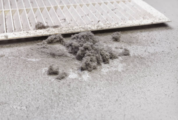 Best Air Quality Test  in Hockinson, WA