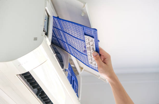 Air Duct Mold Removal in Hockinson, WA